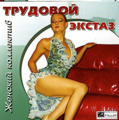 Женский коллектив: Трудовой экстаз  2003 PC RUS 